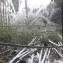 PHOTO-2021-02-19-13-53-06 (15)